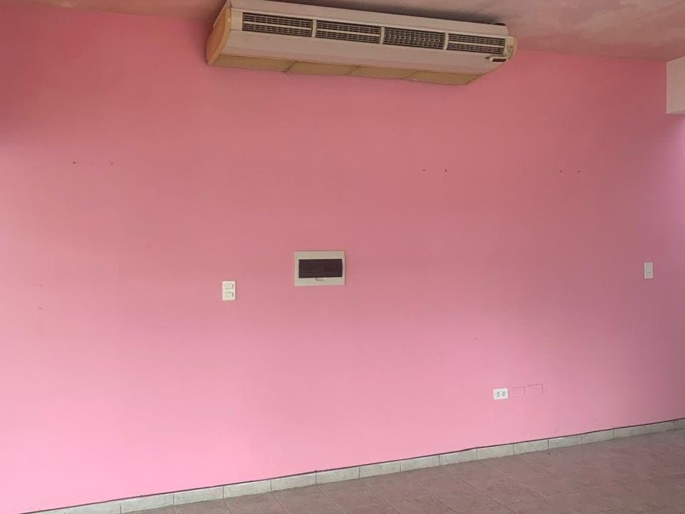 Local comercial en Avenida Doctor Guido Boggiani - foto 4