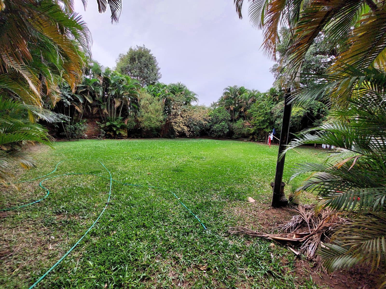 Terreno en Teniente Héctor Vera