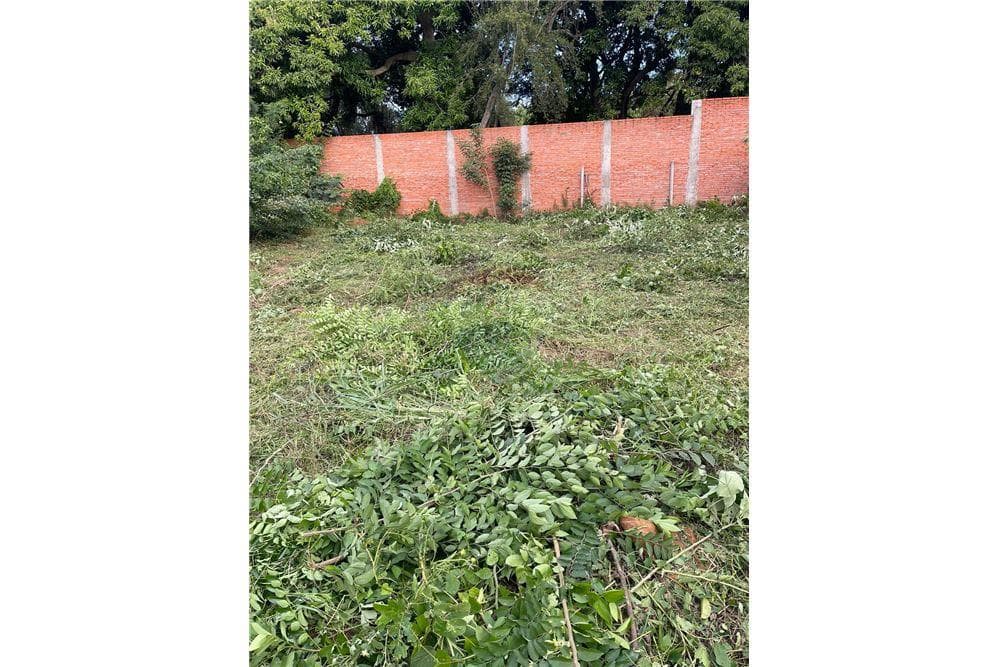 Terreno en Capiata Avda. Doctor Lopez c/ amistad - foto 2