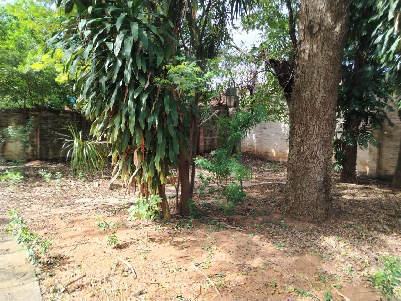 Terreno en Malutin - foto 4