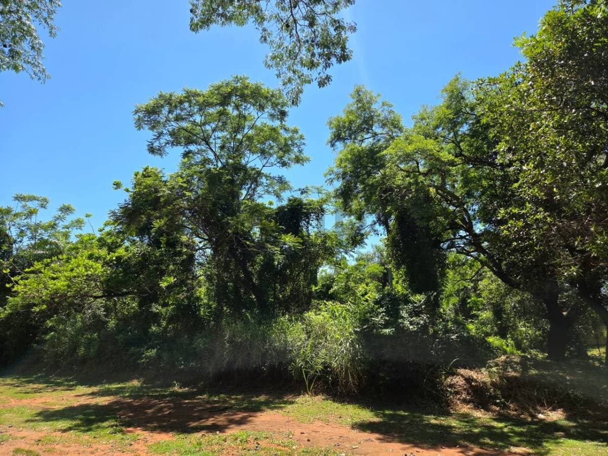 Terreno en Luque, Central - foto 2