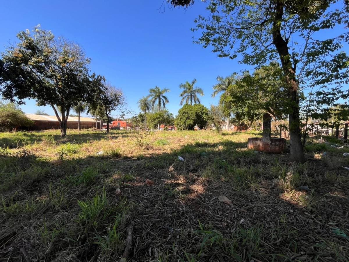 Terreno en Felipe Toledo