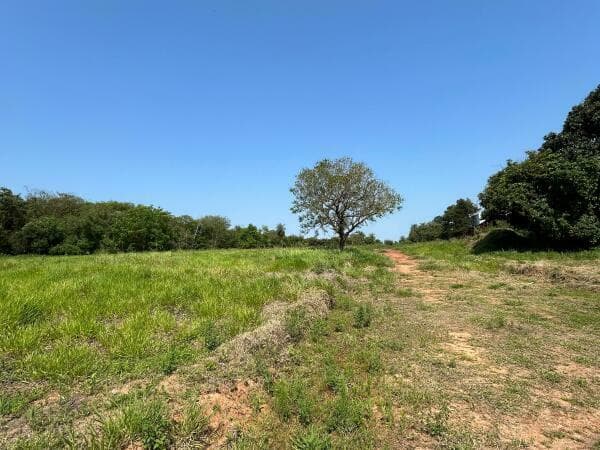 Terreno en Mora Kue - foto 2