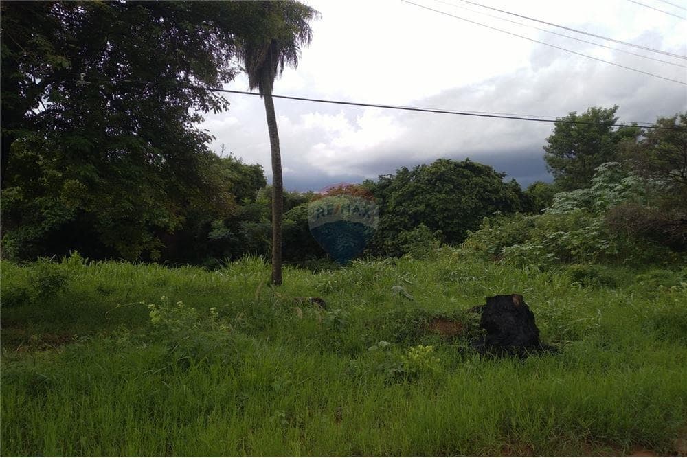 Terreno en Luque, Central