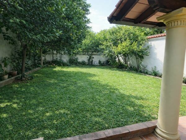 Casa en Recoleta, Asunción - foto 7