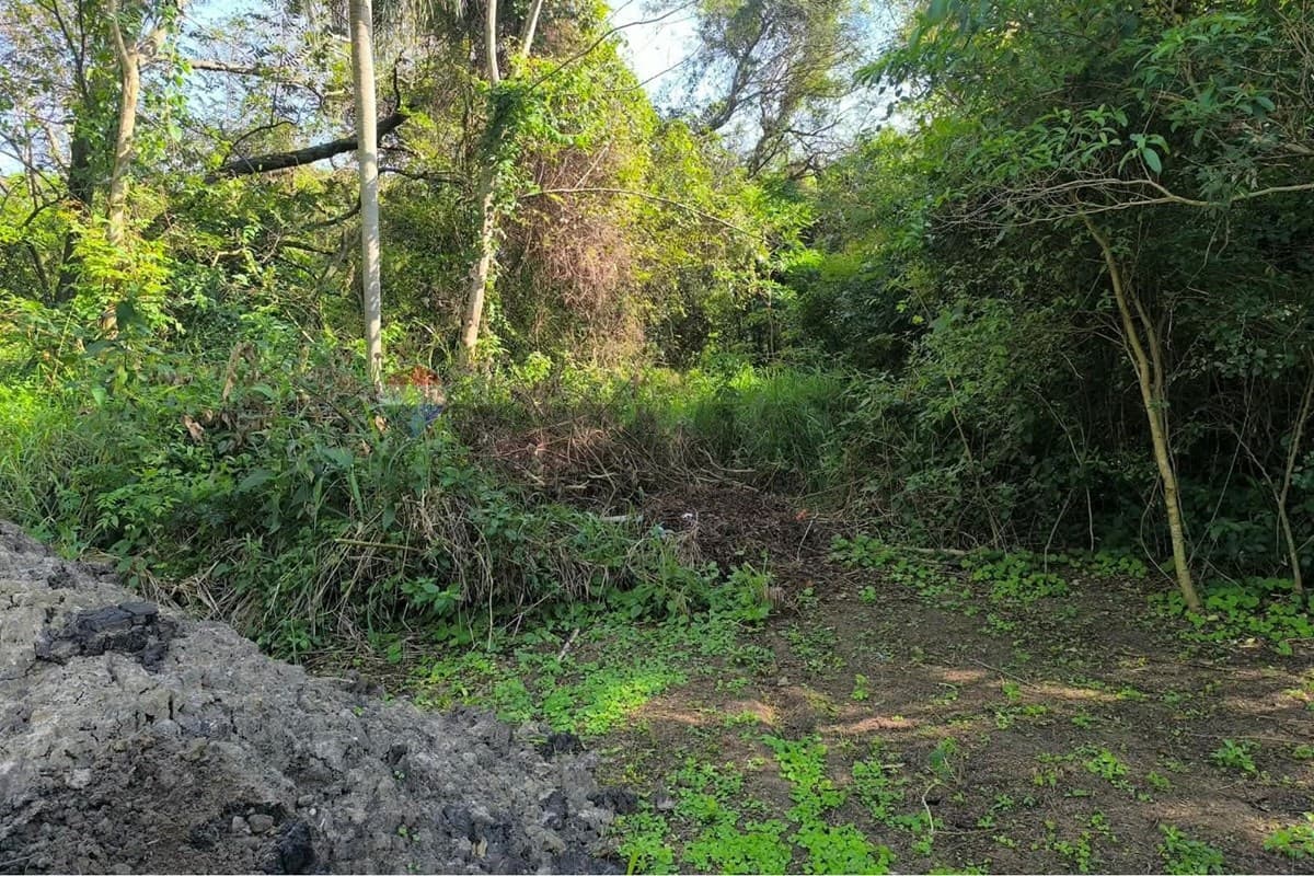 Terreno en Cristobal Colon - foto 4
