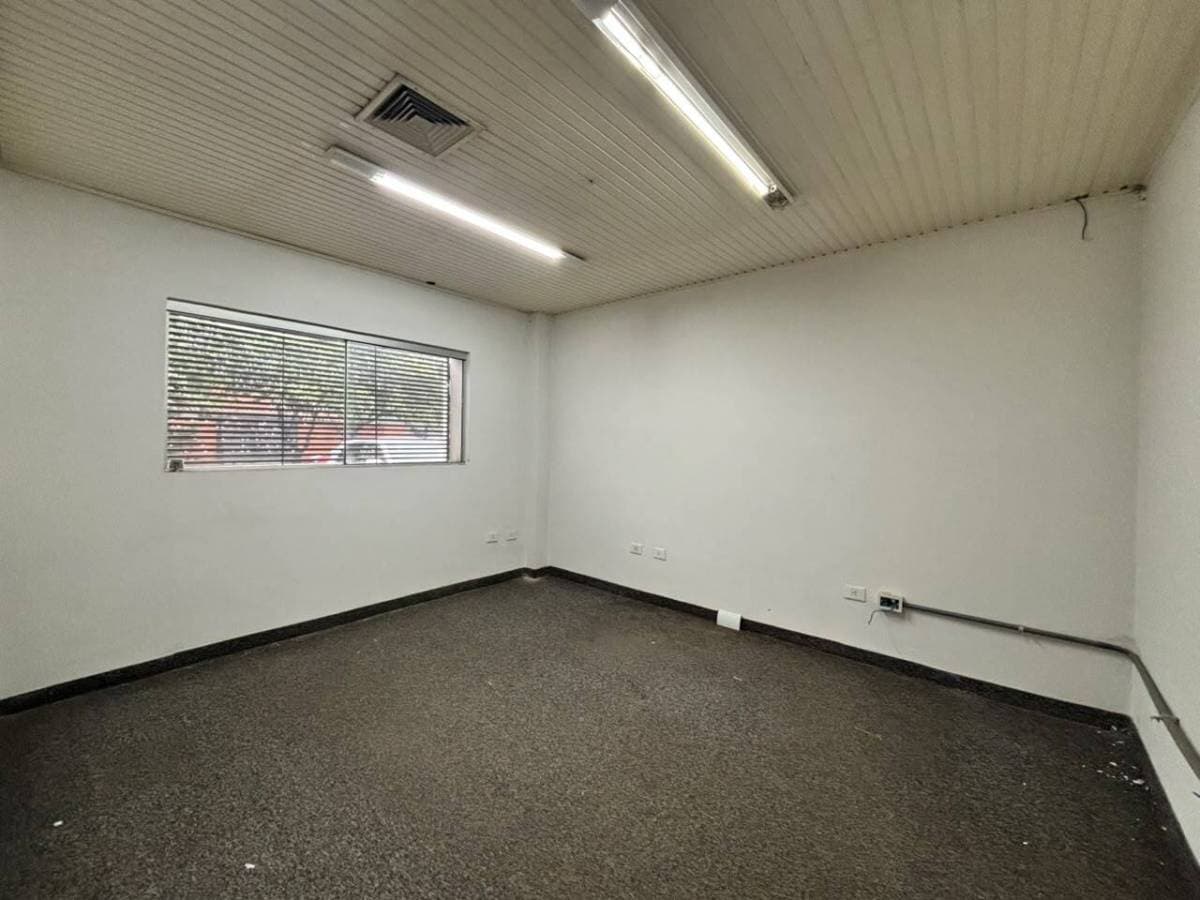 Tinglado/Depósito en San Jorge, Asunción - foto 3