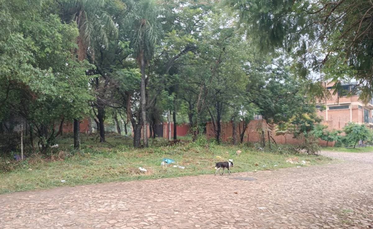 Terreno en Cap. Cañiza & Cap. Ruiz Bueno - foto 3