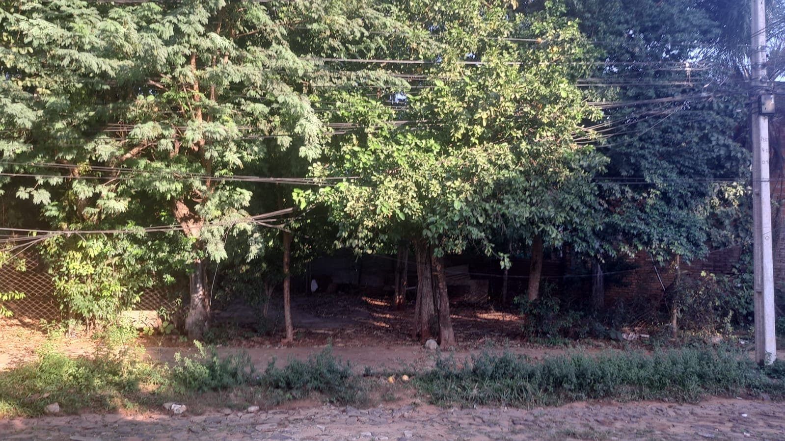 Terreno en Lambaré, Central - foto 2