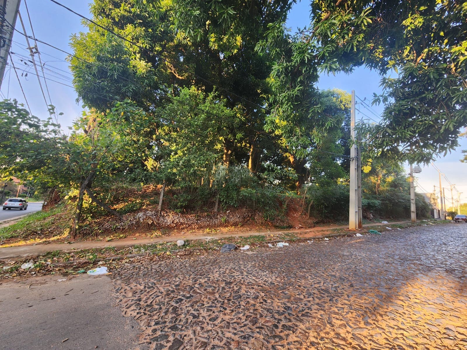 Terreno en Avenida Primer Presidente - foto 4