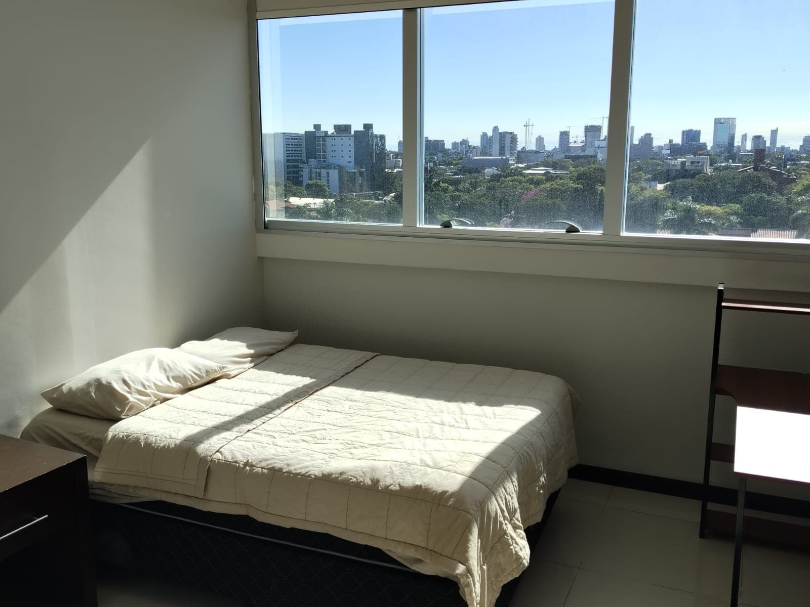 Departamento en General Ceferino Vega G. & Avenida Doctor Guido Boggiani - foto 10