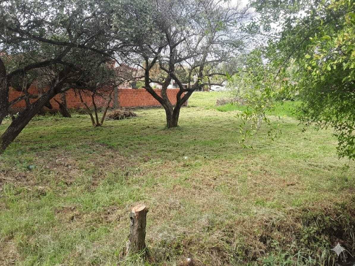 Terreno en Luque, Central - foto 2