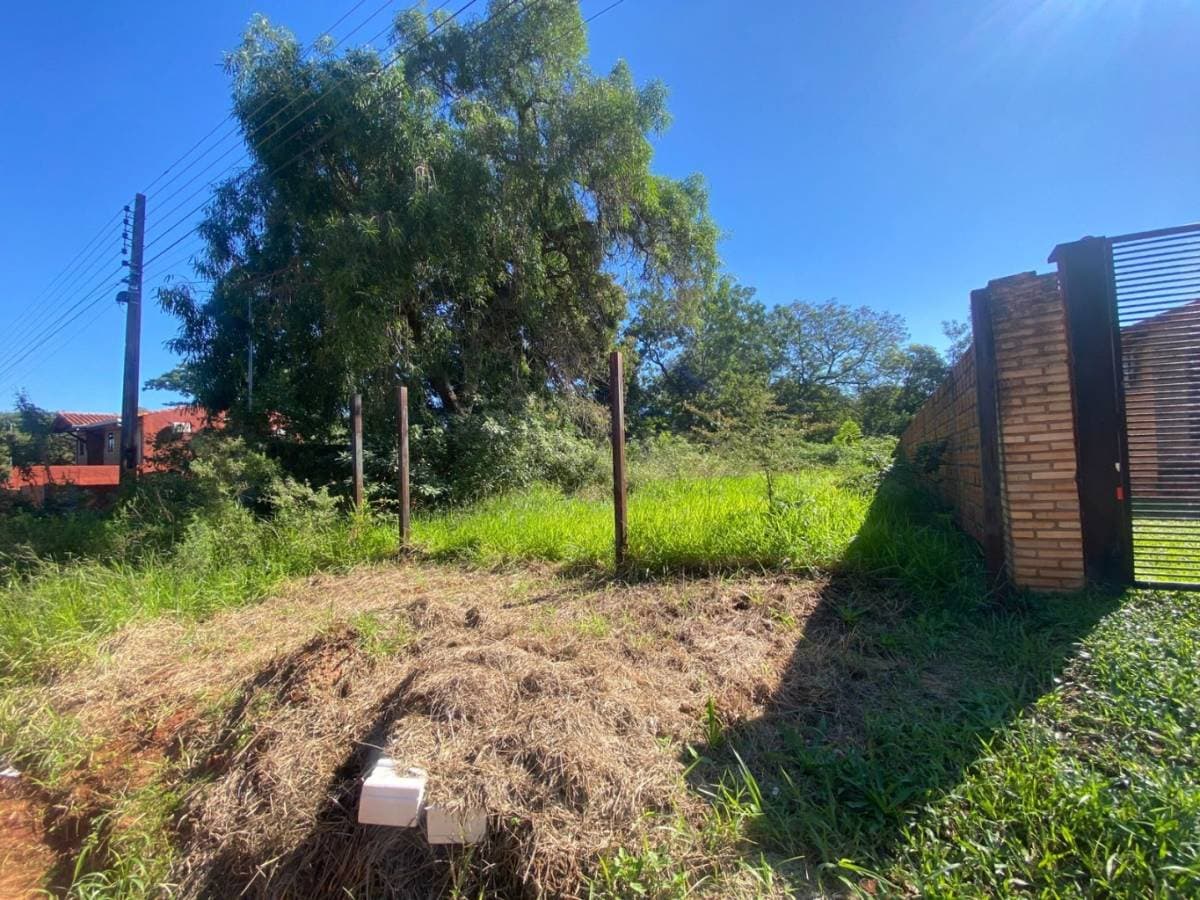 Terreno en Mora Cué - foto 4