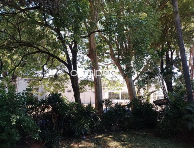 Casa en Villa Morra, Asunción - foto 7
