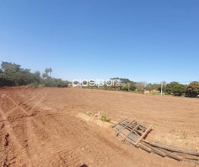 Terreno en Avenida Mora Cue, Luque - foto 7