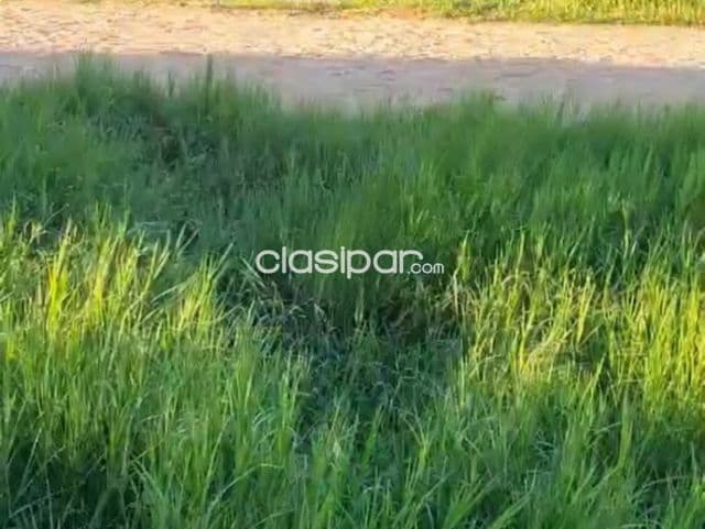 Terreno en Luque, Lambaré